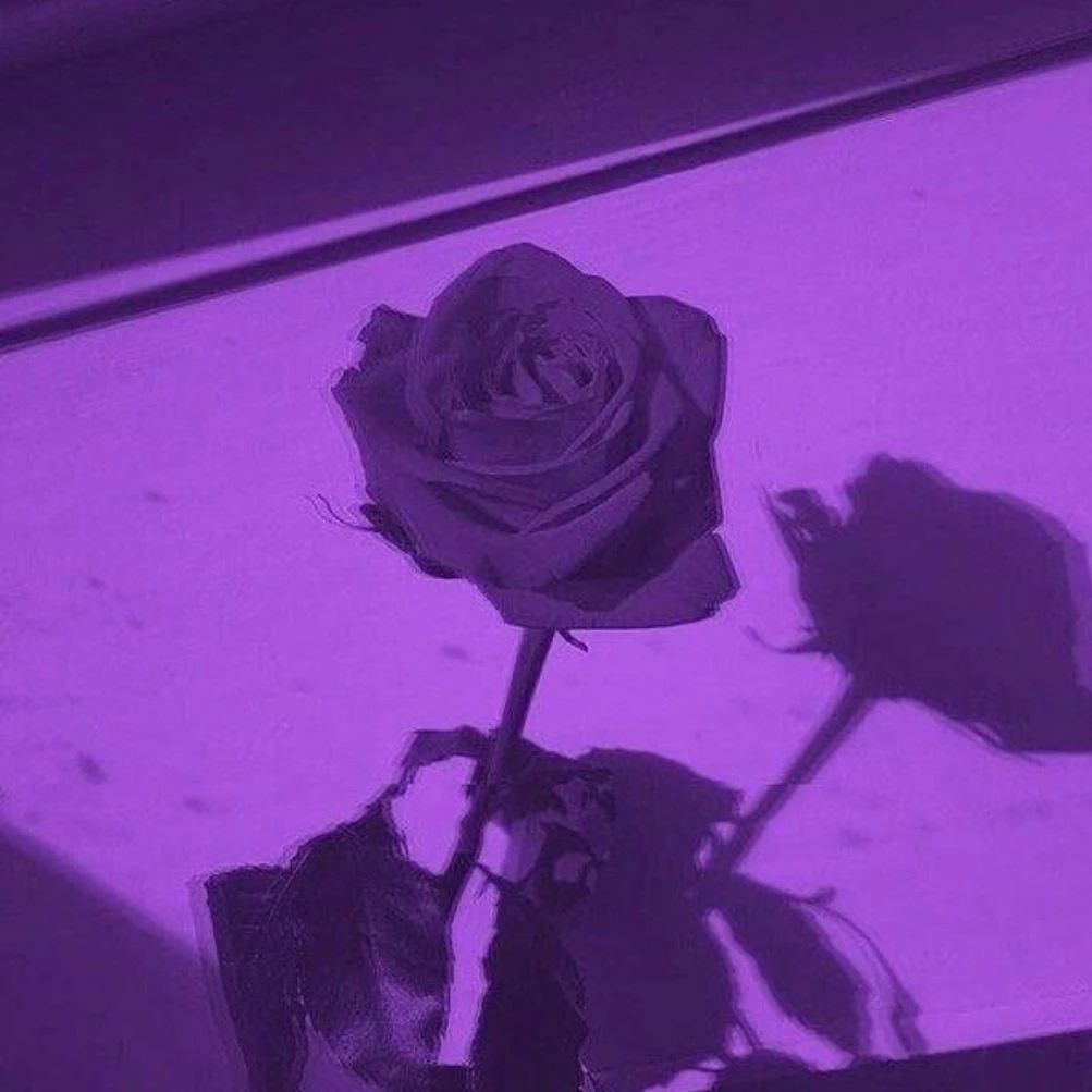 수경사