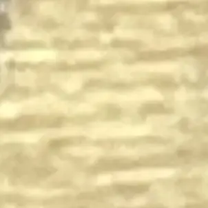 Profile image of 지헌