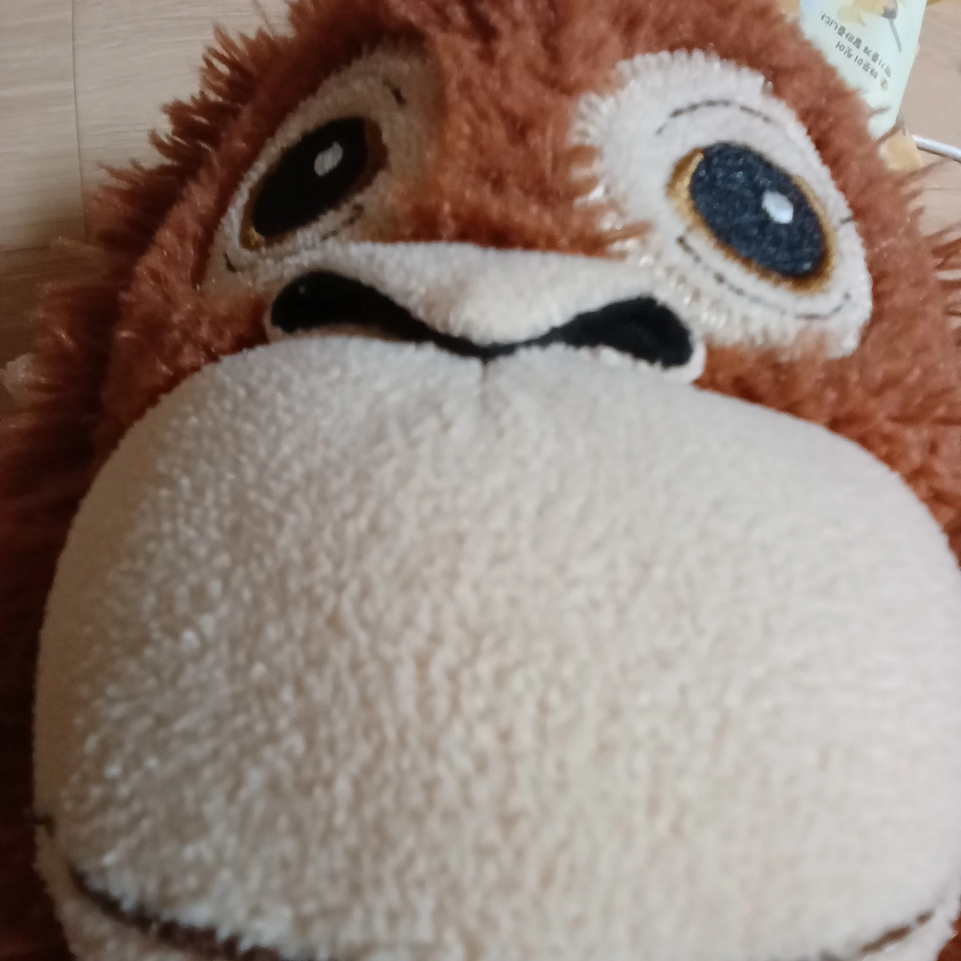 여우