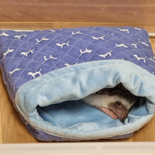 윤