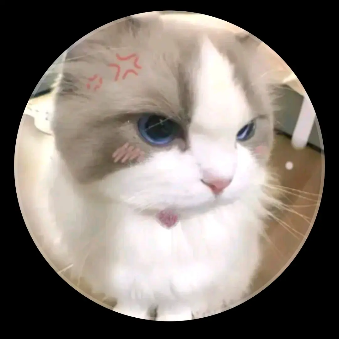 NOMEI의 블래키