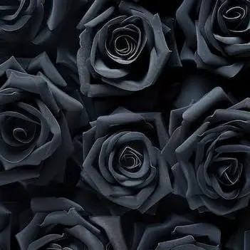 Profile image of 蓮