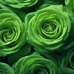 Profile image of 亮平