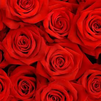 Profile image of 涼太