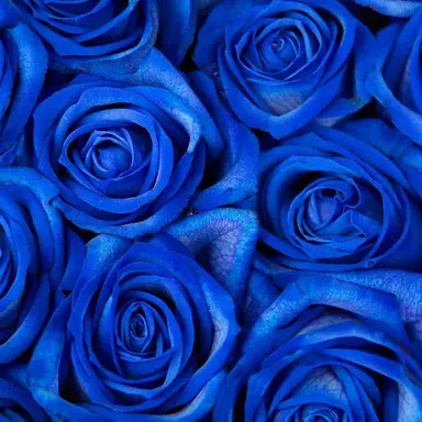 Profile image of 翔太