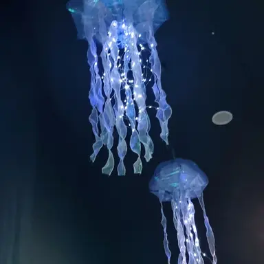 Profile image of 댕댕컴퍼니