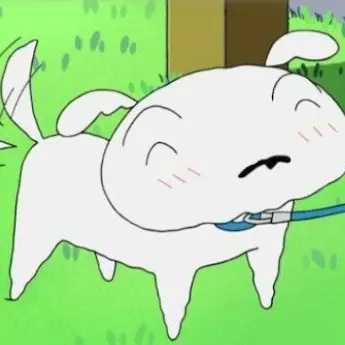 Profile image of 흰둥이