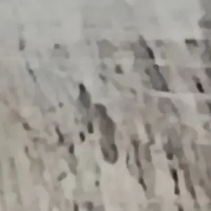 Profile image of Wolf
