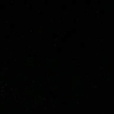 Profile image of 양정인