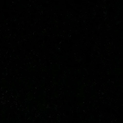 양정인