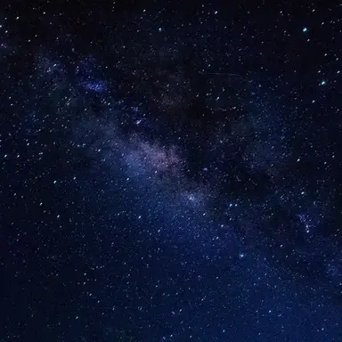 Profile image of 미카엘 모닝스타