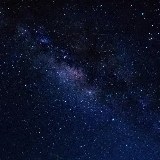 RoundQuoll5385의 냉철하고 냉혹한 천사의 곁엔.