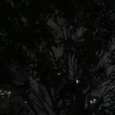 Profile image of 라더