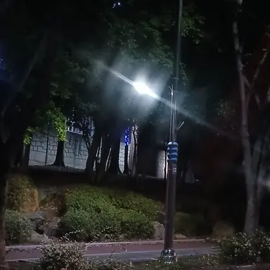 Profile image of 공룡