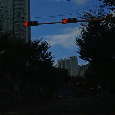 Profile image of 덕개