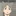 可愛い先輩に猫耳が！？