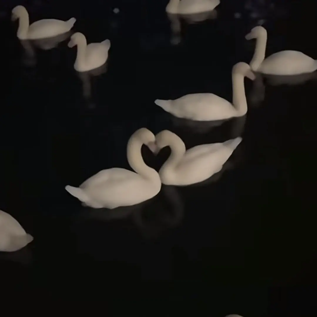 hzxwa의 마에다 리쿠