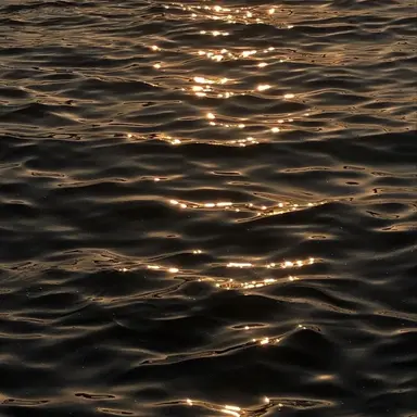 Profile image of 문줂휘