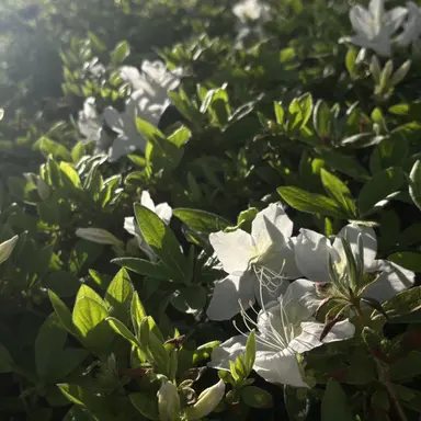 Profile image of 박승기