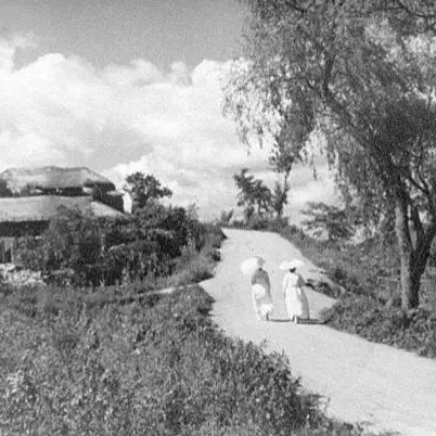 EarlyDeath8201의 "나에게서 당신은 마치 백일몽"