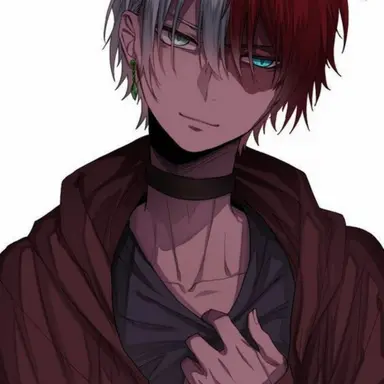 Profile image of Shoto Todoroki