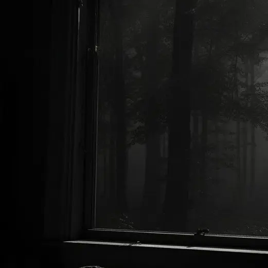 Wtfbro의 차인호