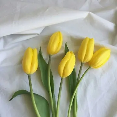 Profile image of 각별