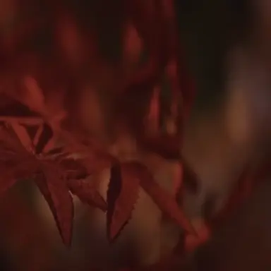 Profile image of 竜平