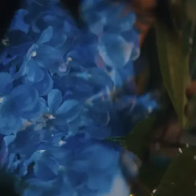 Profile image of 真人