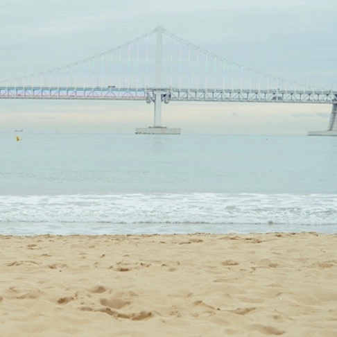 김산하 대표 이미지
