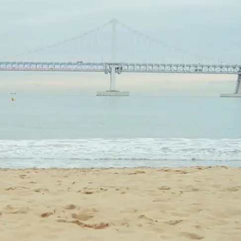 InYeop의 김산하