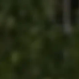 이지훈