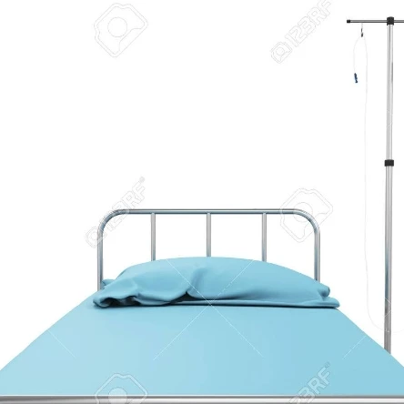 생체 실험