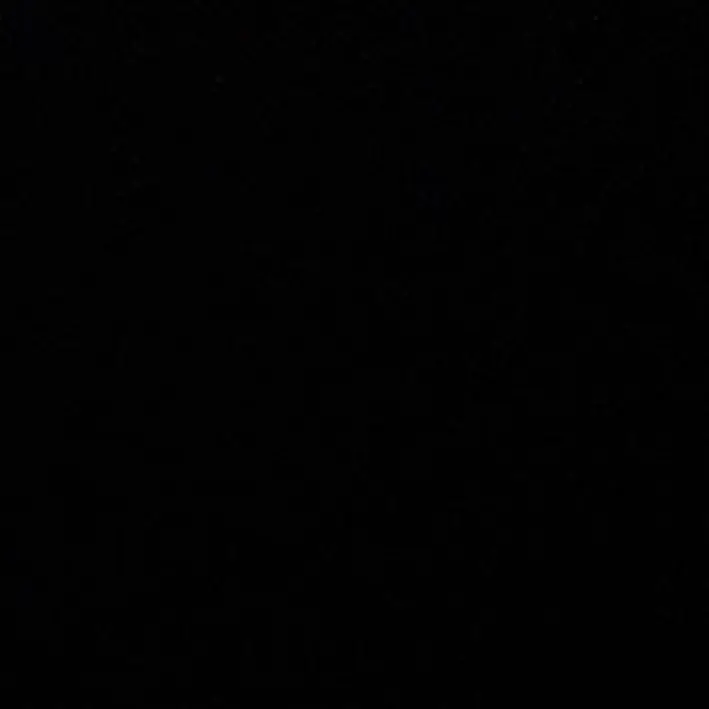 svt._0의 조직 보스 궍숝영