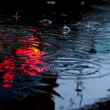 Profile image of リノ