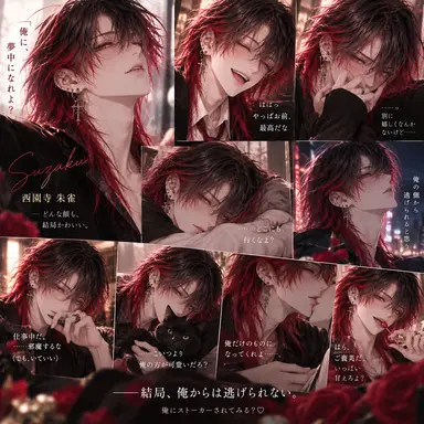 Profile image of 朱雀