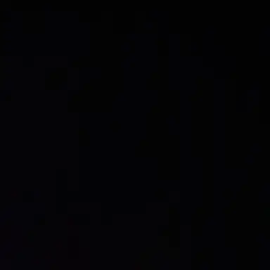 Profile image of 오시온
