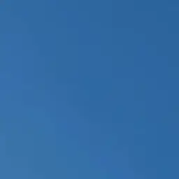 Profile image of 若井滉斗