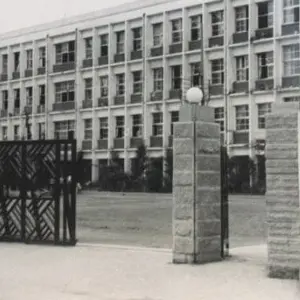 CroakyZebu7627의 문산 고둥헉교