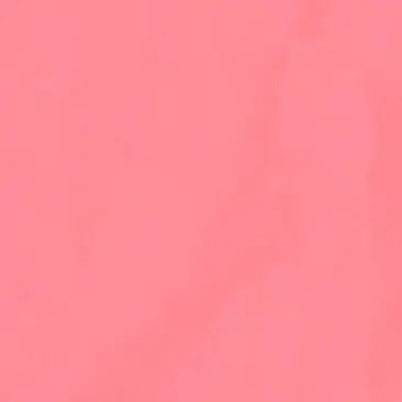 Profile image of 추서현