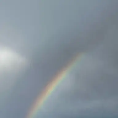 Profile image of 8 Boyfriends BL