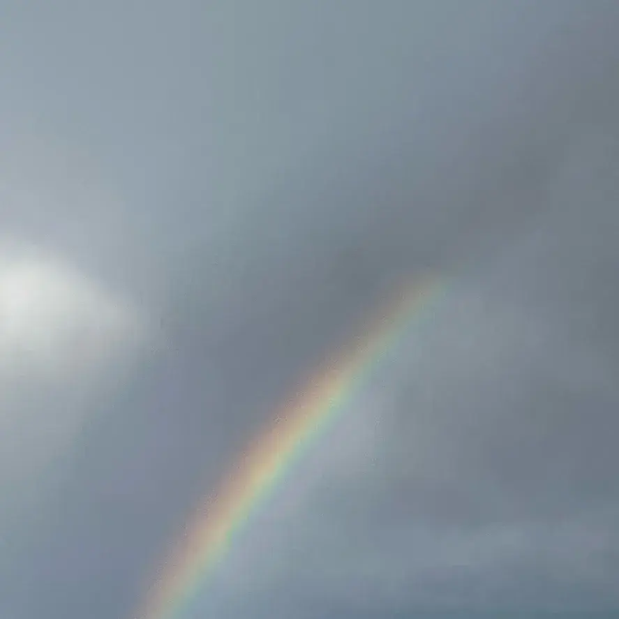 TamestCoral1859의 8 Boyfriends BL