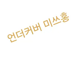 FetidEasel0801의 언더커버 미쓰홍