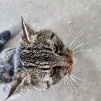 Profile image of 평학