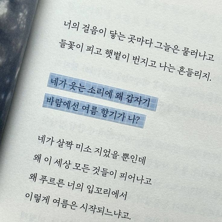 오늘의 일기 대표 이미지