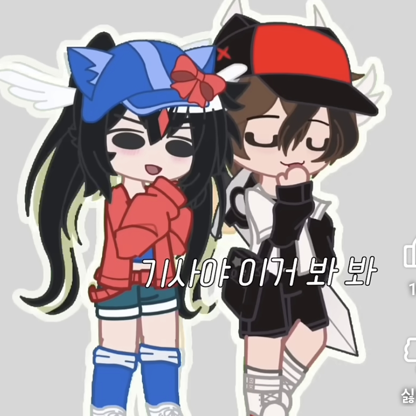 벨키, 유기사, 우참 대표 이미지