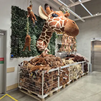 Profile image of 선태형