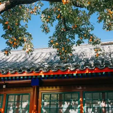 Profile image of 정공룡