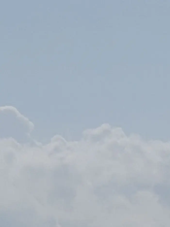 wrwrd_893의 wrwrd学園