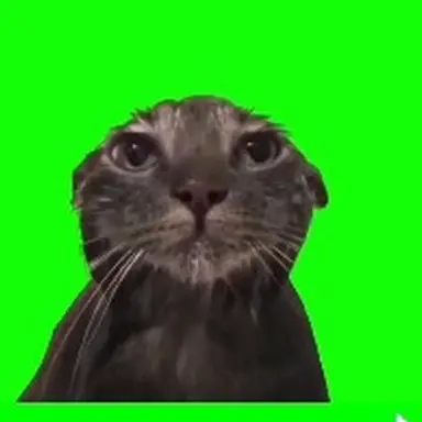 Profile image of 虚無猫